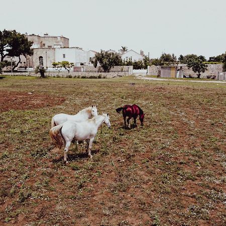 Masseria Francescani Torre Chianca Luaran gambar